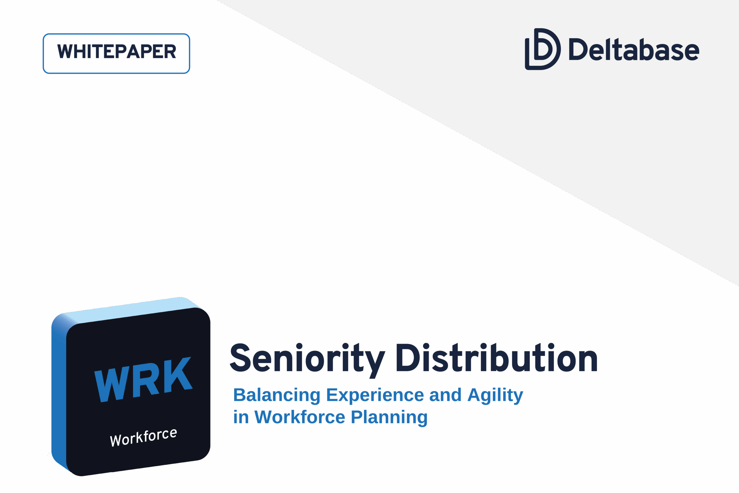 Whitepaper: Seniority Distribution